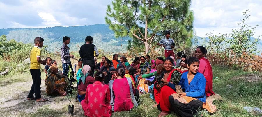 गांव नावली में वृक्षारोपण कार्यक्रम